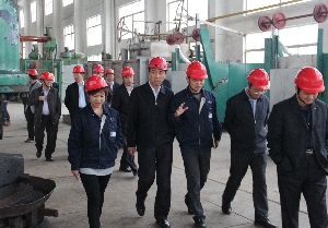 如皋市委書記姜永華赴南通電站閥門調(diào)研